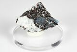 Blue Kyanite & Garnet in Biotite-Quartz Schist - Russia #178934-1